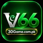 V66
